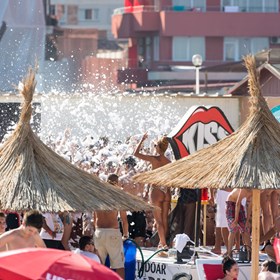 Foam Machine Rental: Foam Daddy